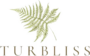 Turbliss logo