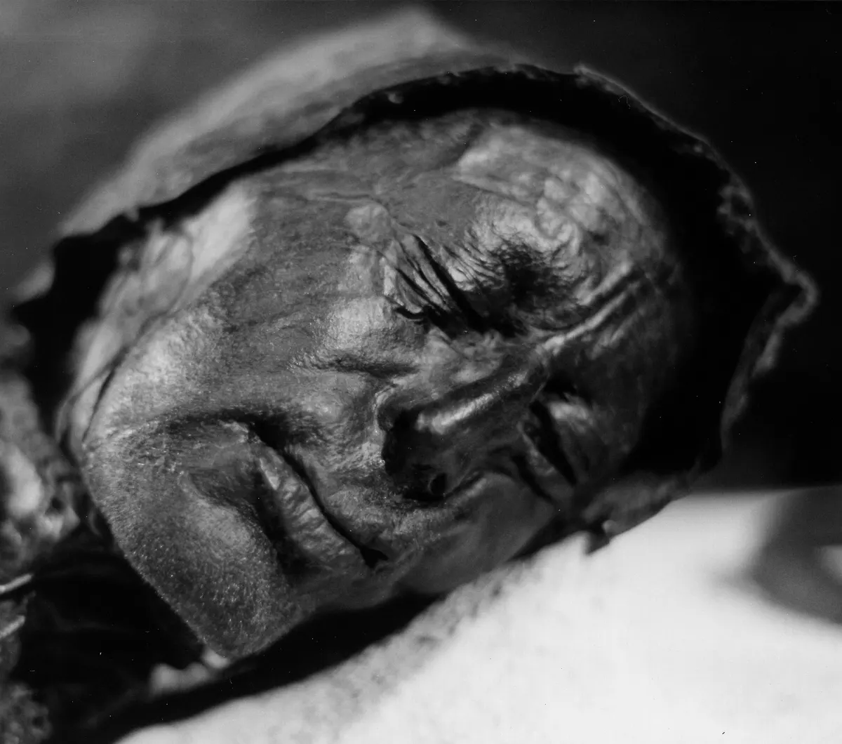 The Tollund Man's preserved face — 2,400 years old, discovered in a Danish peat bog in 1950