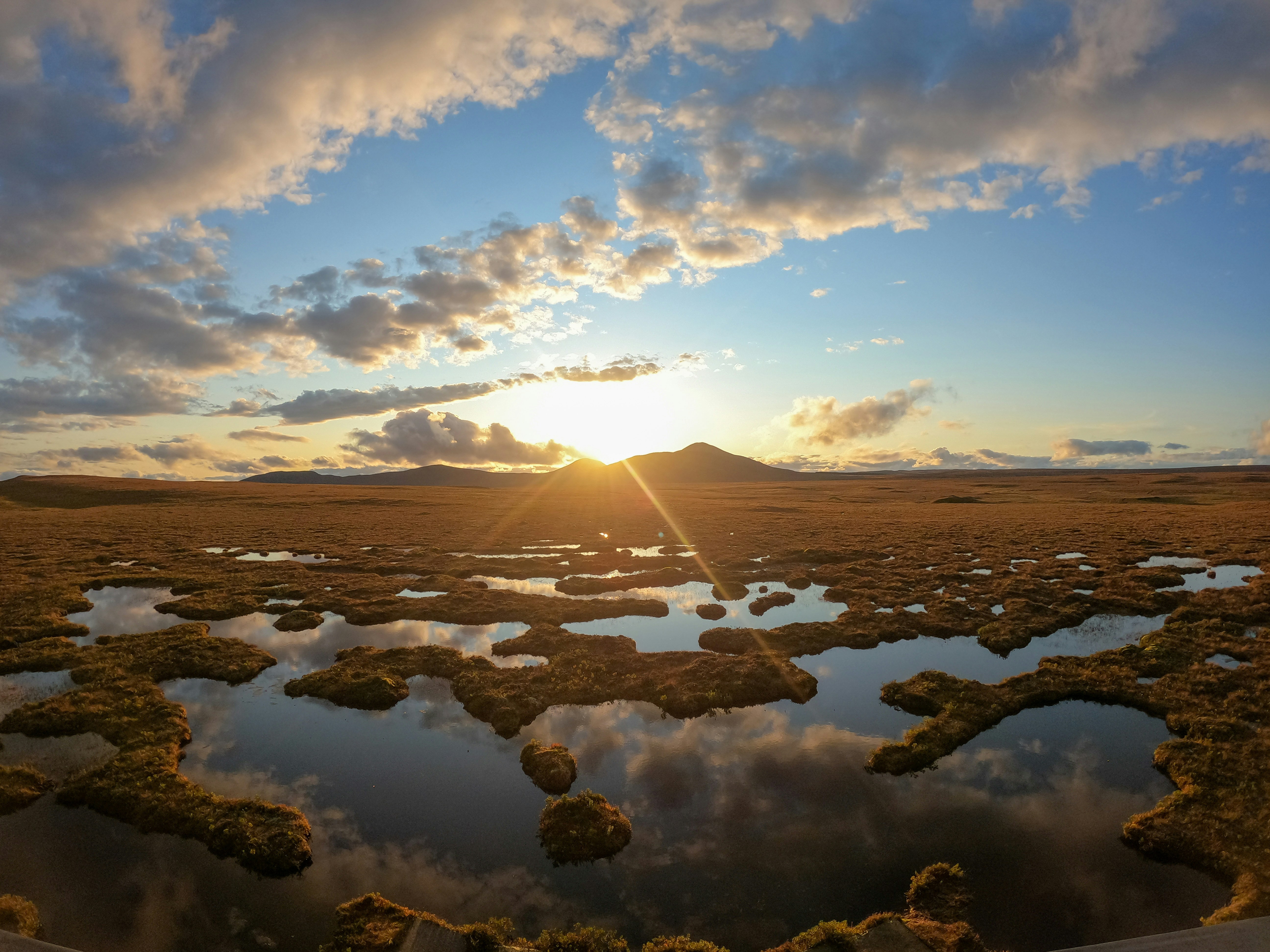 Peat bog landscape at sunset